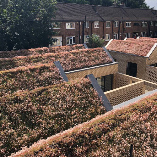 membranes for pitched roofing - spencer courtyard green roofs