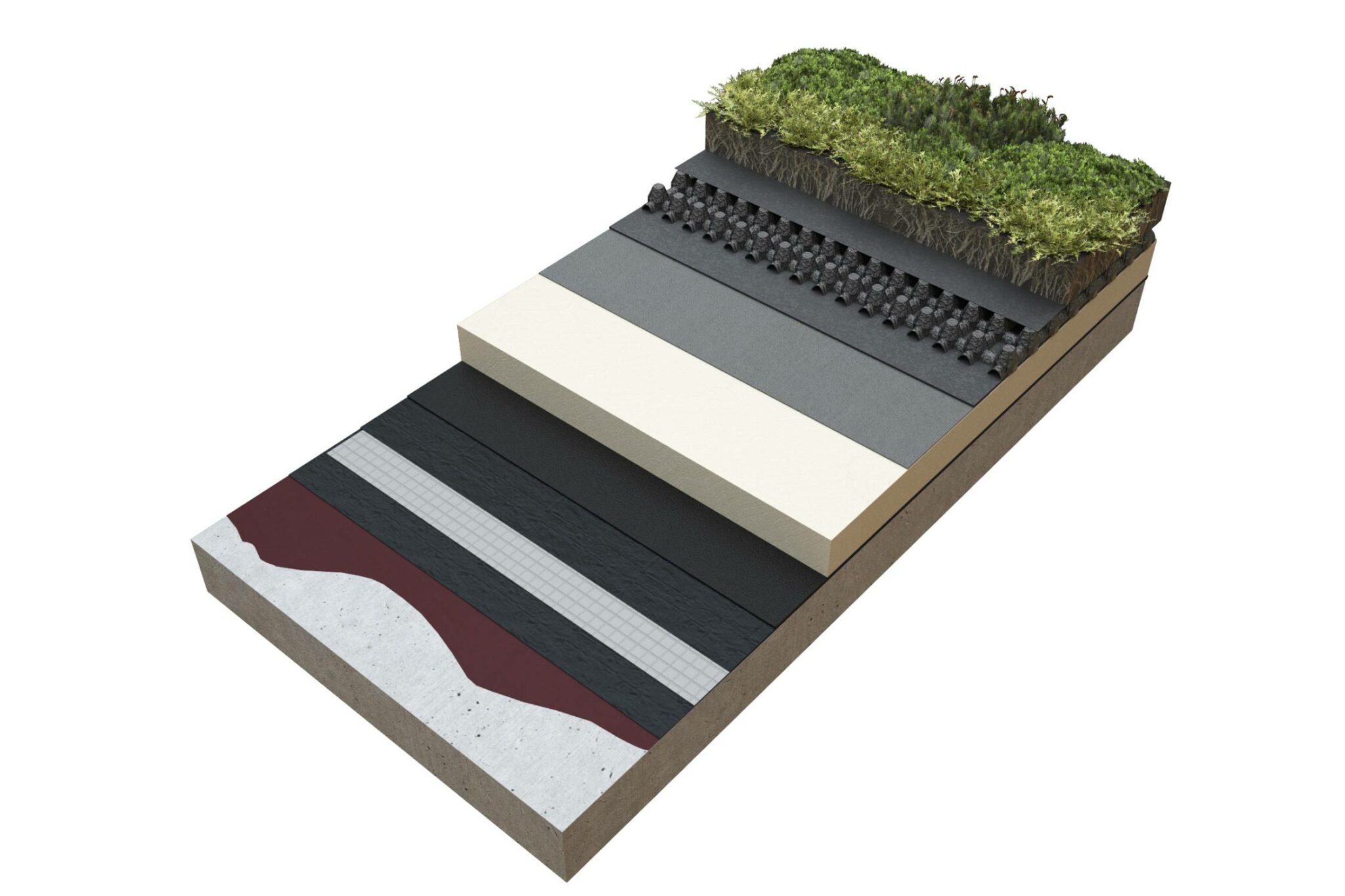 Green and Biodiverse Roofs - AccuRoof